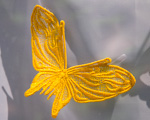 Žlutý krajkový motýl