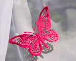 Růžový krajkový motýl