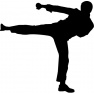 Vyřezávací šablona - karate