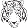 Vyřezávací šablona - Tygr