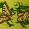Motýlci 2